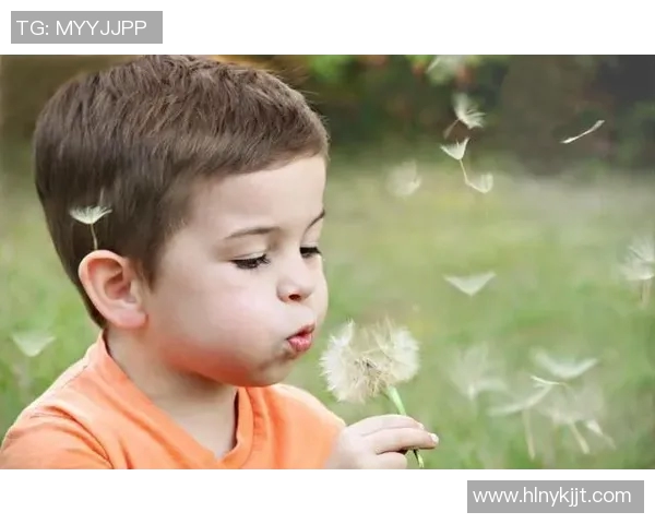 姚明辉煌赛季生涯回顾与成就分析，篮球传奇的成长之路